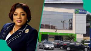 Fidelity Bank Arise Naija Goodnews