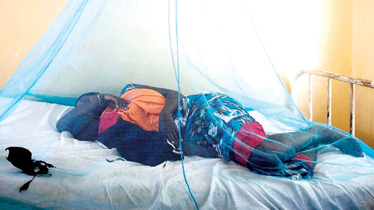 Osun launches massive 2.8 million mosquito net drive in fresh push against malaria